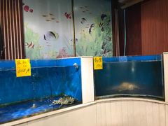 水产区-北塘海鲜·天津菜(大光明桥旗舰店)