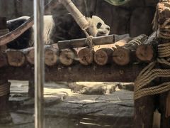 -泉州海丝野生动物世界