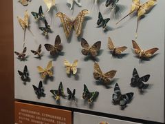 -天津自然博物馆