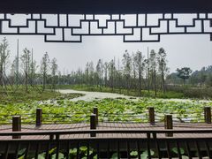 -毛遂公园