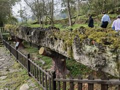 -唐崖土司城遗址