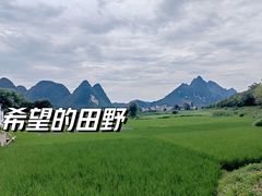 -万峰林风景区