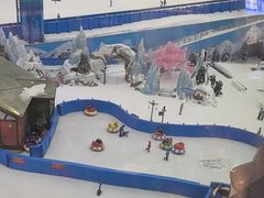 -长沙湘江冰雪世界