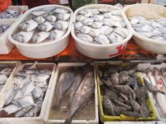 -芦潮港集贸市场