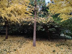 -中国政法大学(昌平校区)