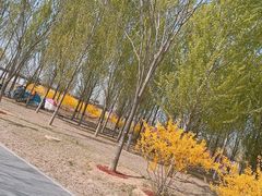 -东郊湿地公园