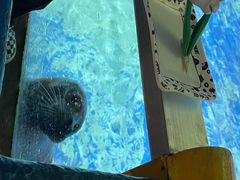 -太平洋海底世界