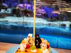 -帝企鹅自助餐厅•儿童岛•真企鹅(长隆企鹅酒店)