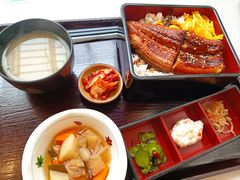 -dodonpa.墩墩伐 便当食堂(博华广场店)