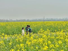 -汉长安城未央宫国家考古遗址公园