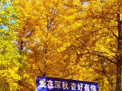 -森林公园(尖草坪区)