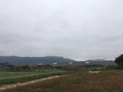 -光明小镇欢乐田园