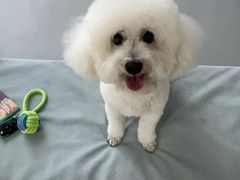 -中农国际动物医院24小时·猫科·骨科·急重症中心