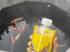-西安市广仁寺