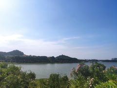 -立新湖公园