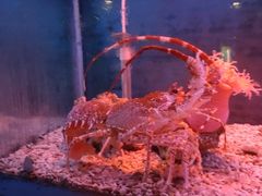 -北京海洋馆