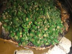 -吞鱼兽麻辣烤鱼(万达店)