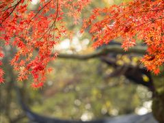 -韬光茶庵