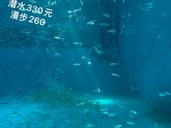 -秦皇岛乐岛海洋王国