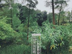 -云溪植物园