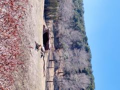 -沈阳森林动物园