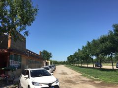 -武清南湖绿博园