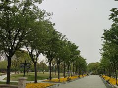 -新江湾城公园