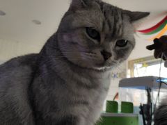 -平行世界·猫咖(首经贸店)