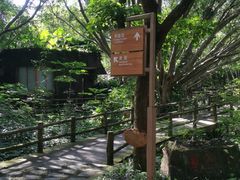 -海口火山口国家地质公园