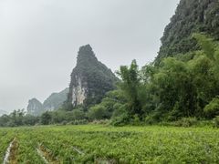 -明仕田园