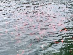 -水磨沟公园