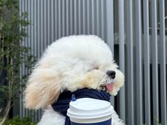 -沈阳铁西万象汇
