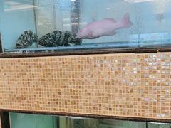 -金鮀岛潮州酒家