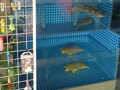 -涿派·炝锅鱼(涿州店)
