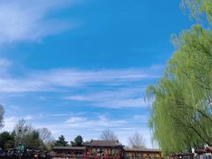 -尚庄度假村·庭台树下·户外烧烤·团建CS·轰趴营地(上庄水库店)
