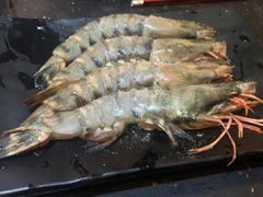 -熊出没日本烧肉放题