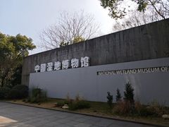-中国湿地博物馆