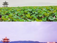-西湖游船