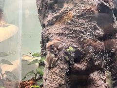-中国湿地博物馆