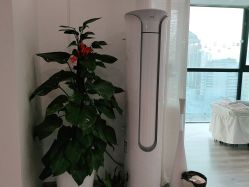-skin79皮肤管理中心