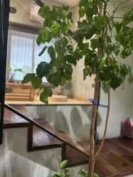 -香秀空间科技抗衰·美容中心