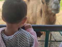 -秦皇岛野生动物园