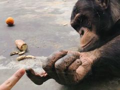 -西安秦岭野生动物园