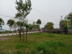 -喜杨洋草莓采摘园