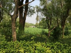 -上海汽车博览公园-北门停车场