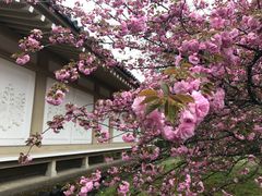 -醍醐寺