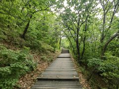 -帽儿山国家森林公园