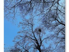 -终南山南五台景区