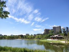 -西海子公园
