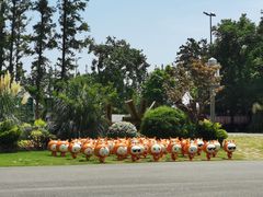 -上海长兴岛郊野公园